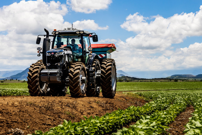 Обои картинки фото техника, тракторы, massey, ferguson