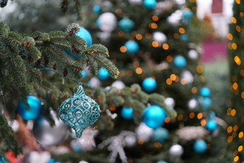 обоя праздничные, ёлки, ель, игрушка