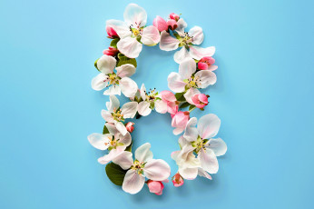 обоя праздничные, международный женский день - 8 марта, цифра, цветы, весна