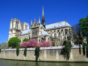 Картинка notre dame de paris города париж франция