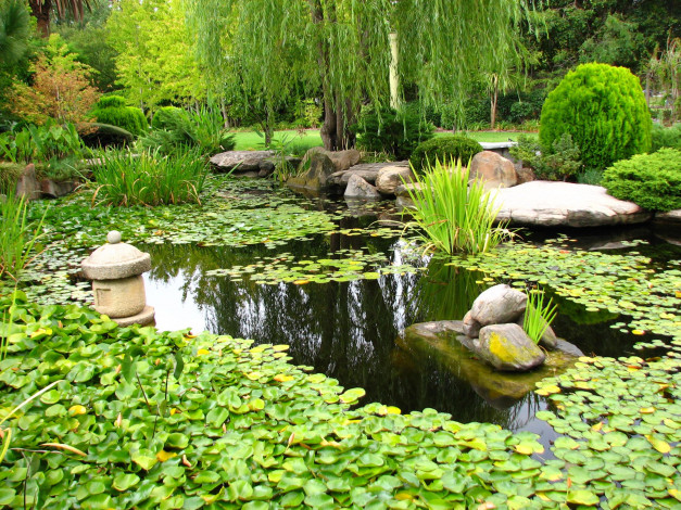 Обои картинки фото природа