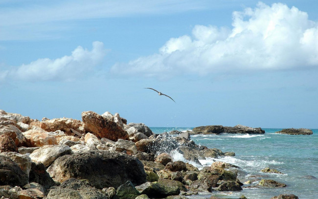 Обои картинки фото природа, побережье