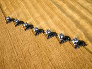 обоя техника, комбайны