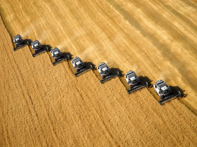 Обои картинки фото техника, комбайны