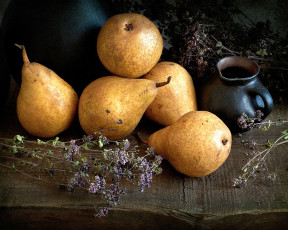 Картинка еда груши