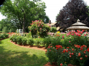 Картинка природа парк беседки розарий