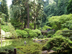 Картинка природа парк сша gardens portland parks oregon