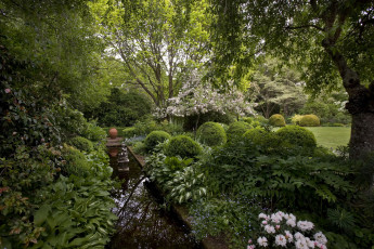 Картинка природа парк водоем деревья цветы