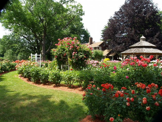 Обои картинки фото природа, парк, беседки, розарий