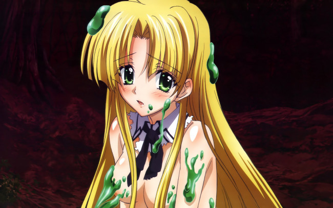 Обои картинки фото аниме, highschool, dxd