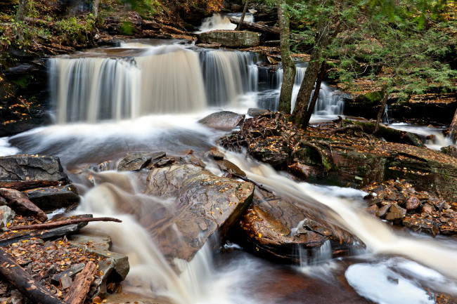Обои картинки фото природа, водопады, ricketts, glen, state, park, pennsylvania