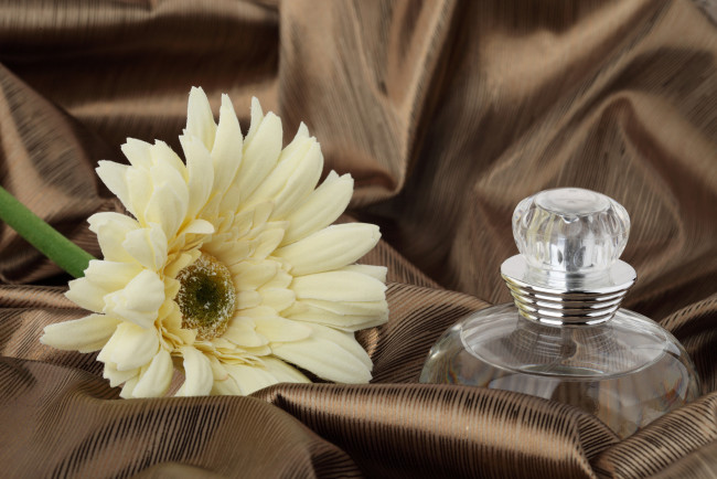Обои картинки фото разное, косметика, духи, флакон, шелк, гербера