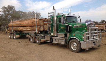 Картинка kenworth автомобили лесовоз