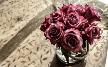 Картинка цветы розы фон