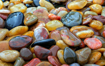 Картинка разное ракушки +кораллы +декоративные+и+spa-камни камешки