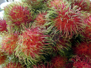 Картинка еда рамбутан экзотический фрукт