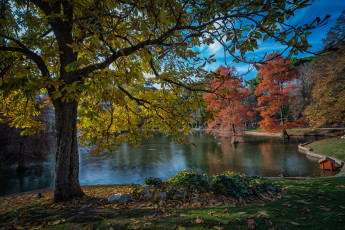 Картинка природа реки озера лес река