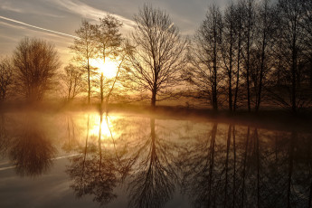 Картинка природа реки озера лес река