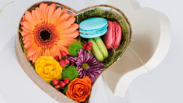 Картинка еда макаруны герберы розы хризантема подарок