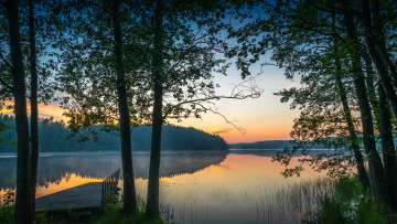 Картинка природа реки озера река лес