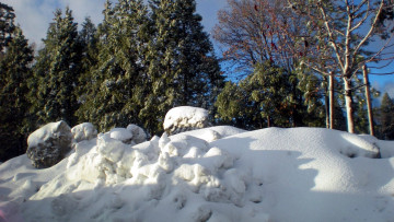 Картинка природа зима снег сугробы