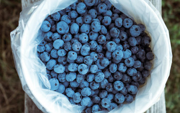 Картинка еда голубика +черника ягоды