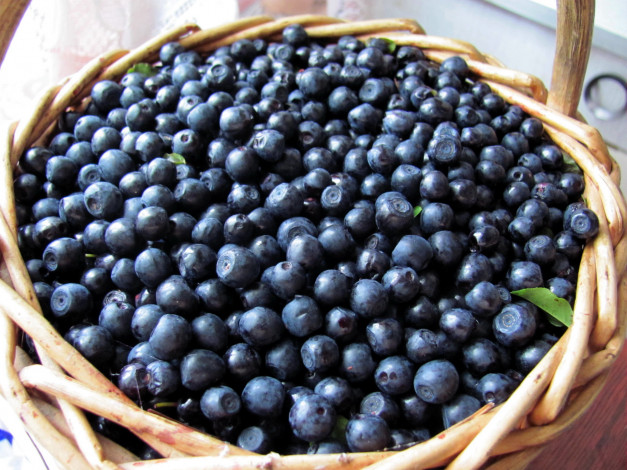 Обои картинки фото еда, голубика,  черника, ягоды, черника