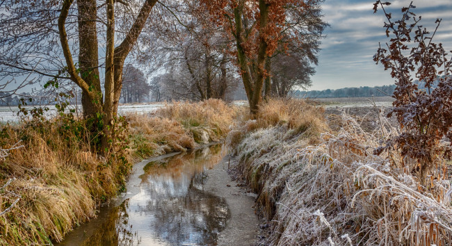 Обои картинки фото природа, реки, озера, лес, река