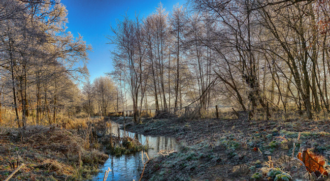 Обои картинки фото природа, реки, озера, лес, река