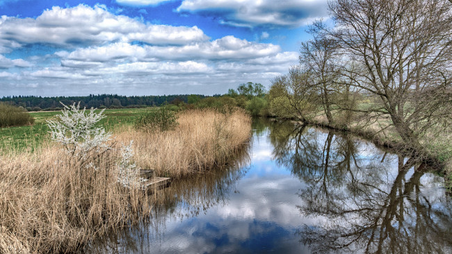 Обои картинки фото природа, реки, озера, лес, река