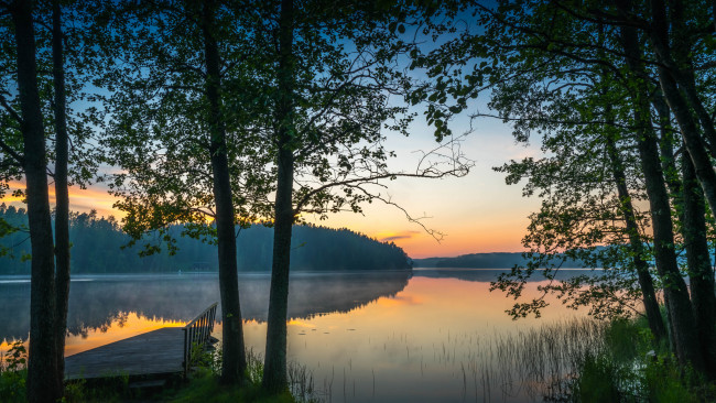 Обои картинки фото природа, реки, озера, река, лес