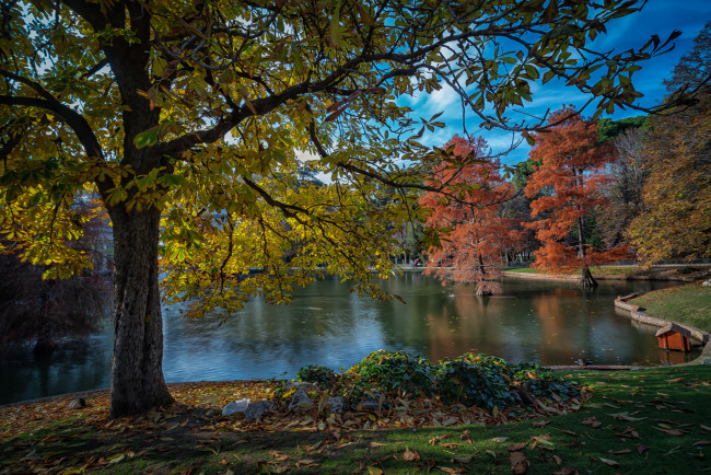 Обои картинки фото природа, реки, озера, лес, река