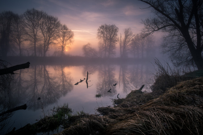 Обои картинки фото природа, реки, озера, лес, река