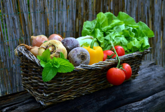 Картинка еда овощи салат помидоры перец мята томаты