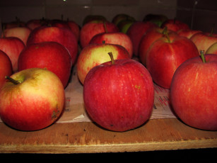Картинка еда яблоки краснобокие