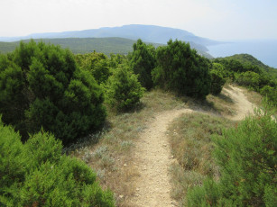 Картинка природа дороги краснодарский край сукко анапа