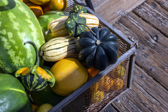 Картинка еда фрукты+и+овощи+вместе тыква дыня арбуз