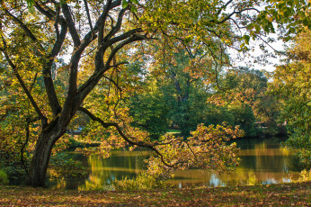 Картинка природа реки озера простор