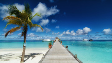 Картинка природа тропики простор