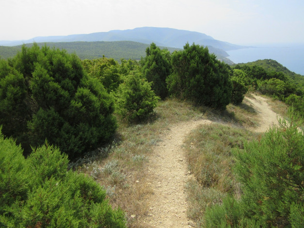 Обои картинки фото природа, дороги, краснодарский, край, сукко, анапа