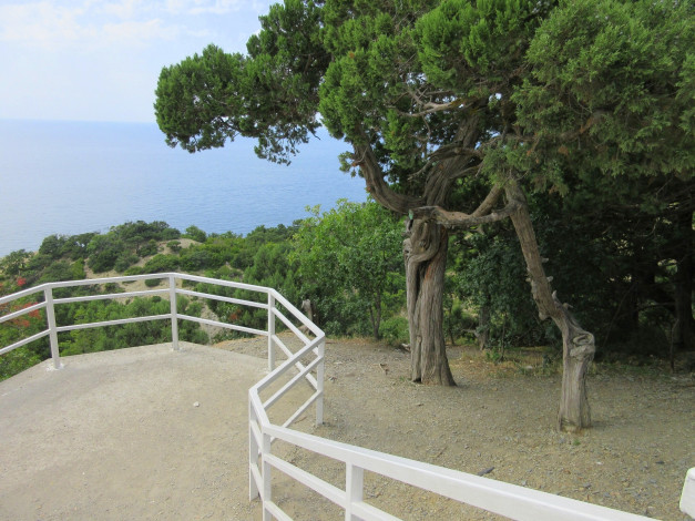 Обои картинки фото природа, парк, анапа, краснодарский, край, сукко