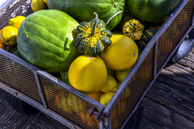 Обои картинки фото еда, фрукты и овощи вместе, дыня, тыква, арбуз