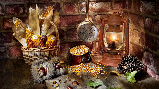 Обои картинки фото еда, кукуруза, каштан, зерна, шишка