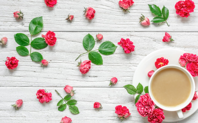 Обои картинки фото еда, кофе,  кофейные зёрна, цветы, чашка, капучино