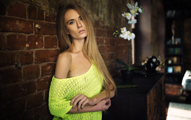 Обои картинки фото девушки, - блондинки,  светловолосые, блондинка, свитер, стена, цветы