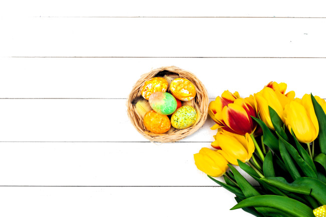 Обои картинки фото праздничные, пасха, яйца, гнездо, тюльпаны, цветы