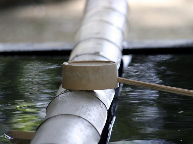 Обои картинки фото разное