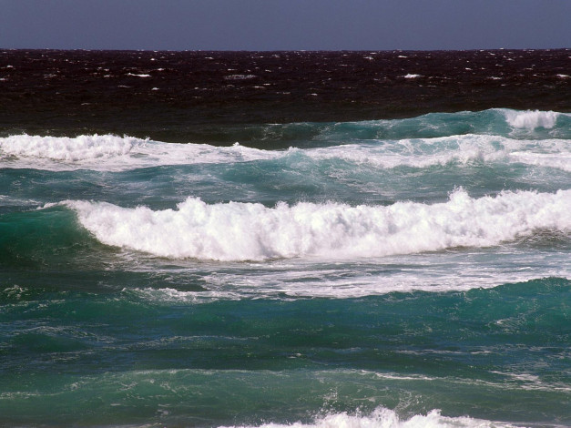 Обои картинки фото 