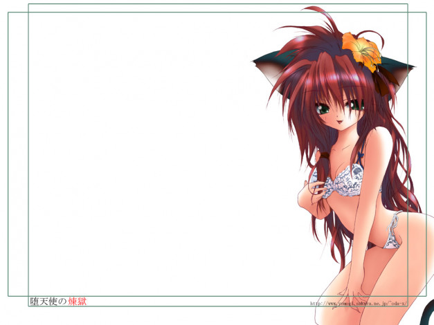 Обои картинки фото аниме, animals