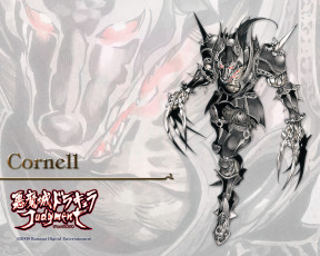 Картинка видео игры castlevania judgment